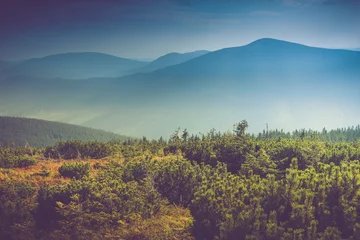  Landscape of misty mountain hills covered by forest. © vovik_mar