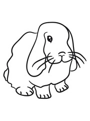 sweet little baby bunny bunny