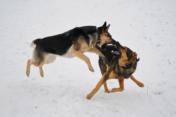 Friendship.