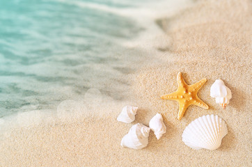 Fototapeta na wymiar Starfish on the beach. Summer beach.