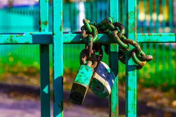 Fototapeta premium Metal Fence with Rusty Lock and Chain