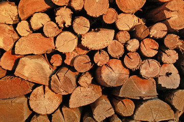 Orange firewood stacked in a woodpile illuminates the evening su