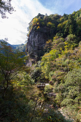 高知県仁淀川町　中津渓谷の風景
