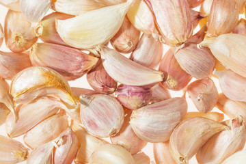 seed garlic