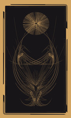 Tarot cards - back design,  birds