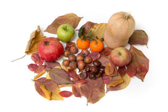 A table of autumn fruits