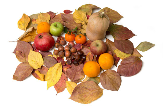 A table of autumn fruits