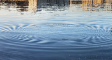 Water surface.