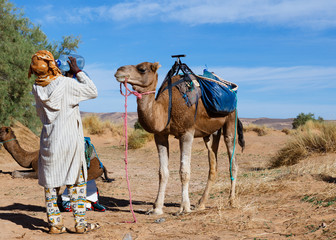 camel and Berber drinking water