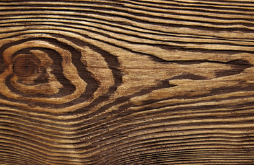 Fototapeta premium wood texture