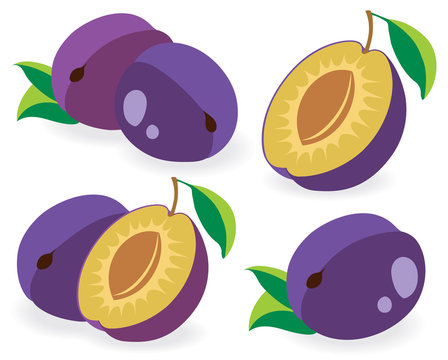 Fresh plums vector illustrations