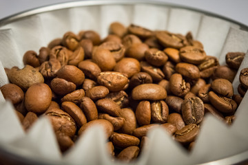 Coffee beans in the dripper brew and white filter