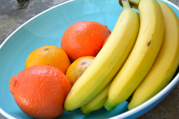 Bananas, valencia oranges and tangelos in large blue bowl