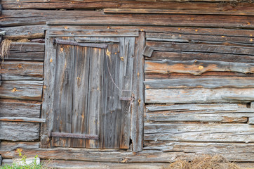 weathered wooden cottage wall made of debarked spruce trunks with closed window shutter