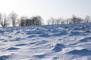 Winterlandschaft in der Eifel