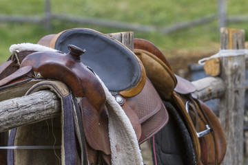 horse saddle
