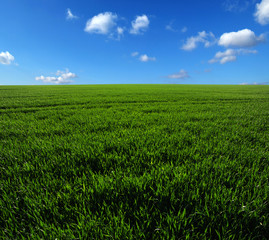 green field