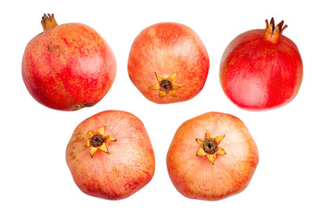 pomegranate