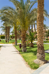 Fototapeta premium A sunny day in the hotel complex