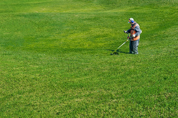 Lawn care. Cutting grass.