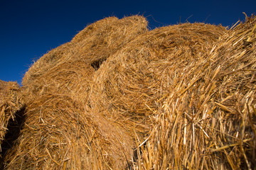 Piled hay bales on a field against blue sky