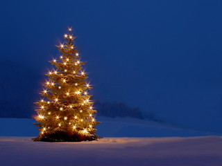 Weihnachtsbaum im Garten am Abend