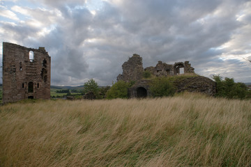 Ruine im Feld