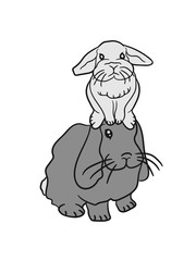 funny bunny couple cute sweet friends Team