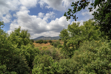 Fototapeta na wymiar Golan Heights. Banias Nature Reserve