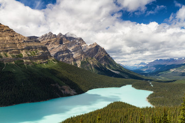 Vista over Peyto Lake