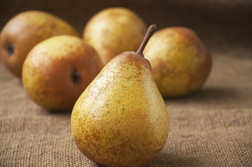 Juicy ripe pear close-up, against the background of burlap, sack