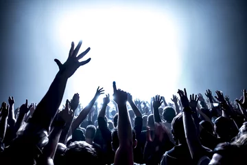 Wandcirkels aluminium cheering crowd at a rock concert © DWP