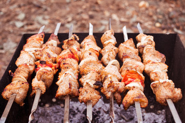 Fresh hot grilled meat