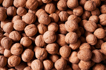 Walnut kernels as a texture