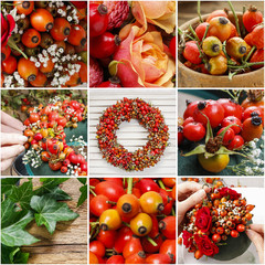 Collage with autumn decorations