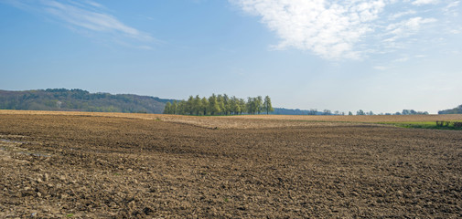 Fototapeta na wymiar Furrows in a sunny field in spring 