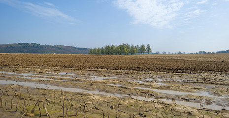 Fototapeta na wymiar Furrows in a sunny field in spring 