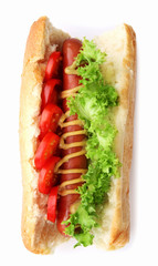Fresh hot dog isolated on white