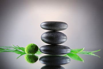 Spa stones and green branch on  grey background