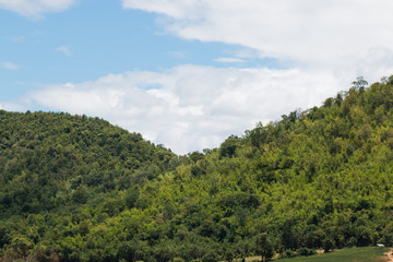 landscape at countryside