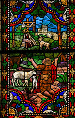 Stained Glass of Mother Mary and a Shepherd in Cathedral of Leon