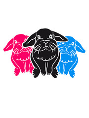3 small sweet party bunny siblings friends Team cute pattern design