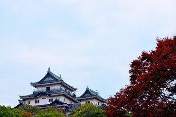 紅葉と和歌山城