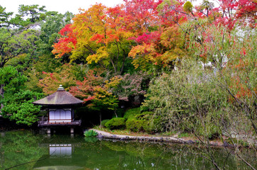紅葉と和歌山城紅葉渓庭園
