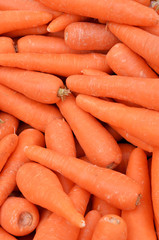 Fresh carrots at the local market.