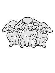 3 cute little bunny siblings friends Team cute