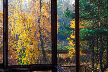 Broken window and autumn forest