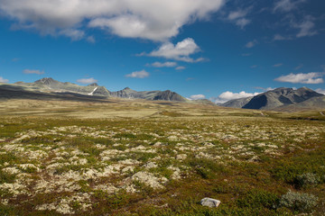 Fototapeta na wymiar Rondane Nationalpark mit Bergen 