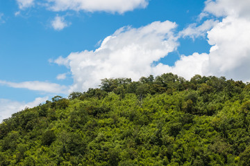 Obraz premium landscape at countryside