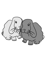 2 sweet little baby bunnies bunny couple friends siblings